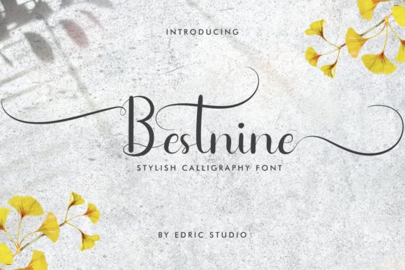 Bestnine: A Delicate Script Font for Elegant Editorial Design