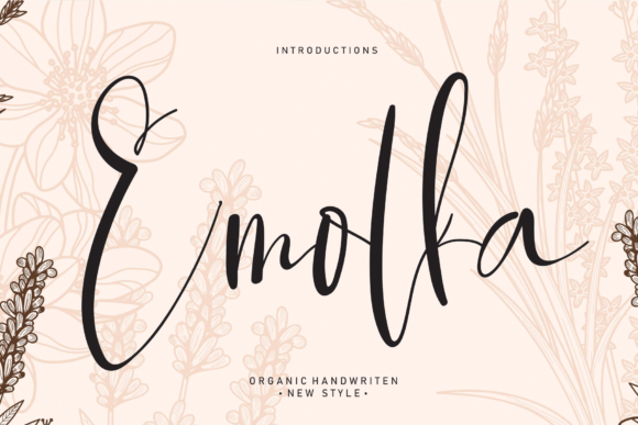 Elevate Web Design with the Emolka Script Typeface