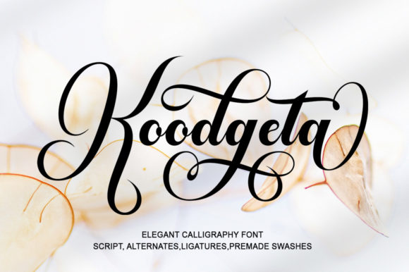 Koodgeta: A Playful Script Font for Modern Web Design