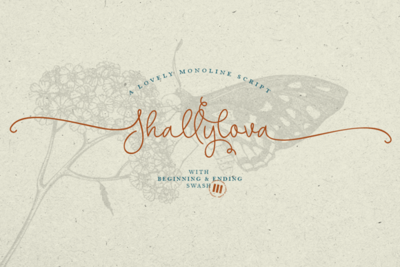 Shallylova: The Script Font That Elevates Campaign Visuals