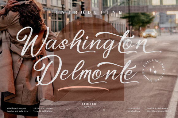 Washington Delmonte: A Graceful Script Font for Web Design